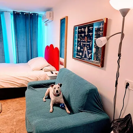 Estudios Appartement Badalona