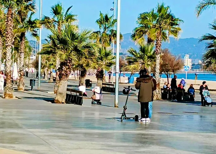 Estudios * Badalona