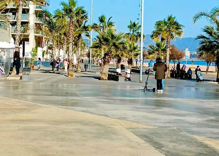 Estudios