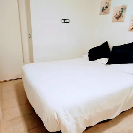 Estudios